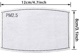 PM2.5 Filter - 100 Pack