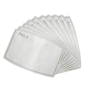 PM2.5 Filter - 100 Pack