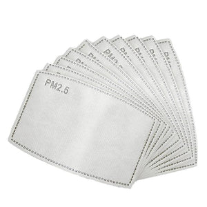 PM2.5 Filter - 100 Pack